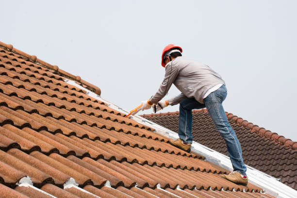 Best Roof Restoration  in USA